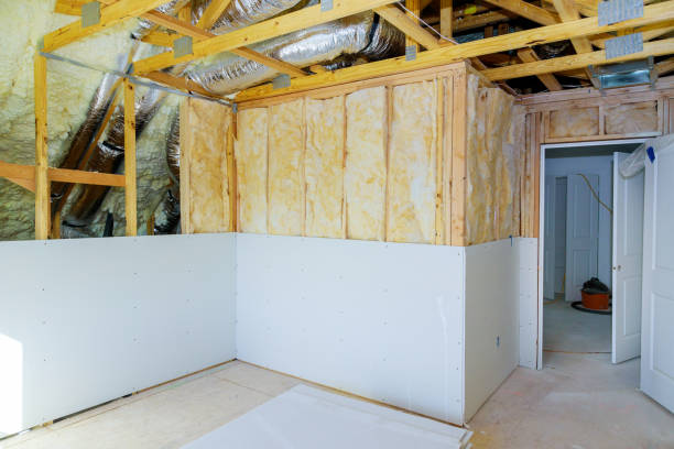 Best Insulation Maintenance and Repair in Oglethorpe, GA