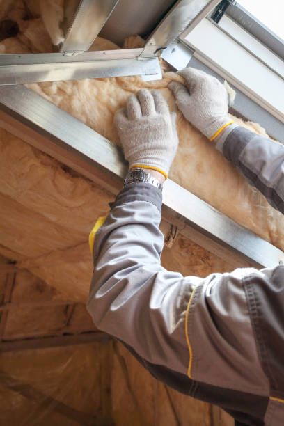 Best Specialized Insulation Services in Oglethorpe, GA