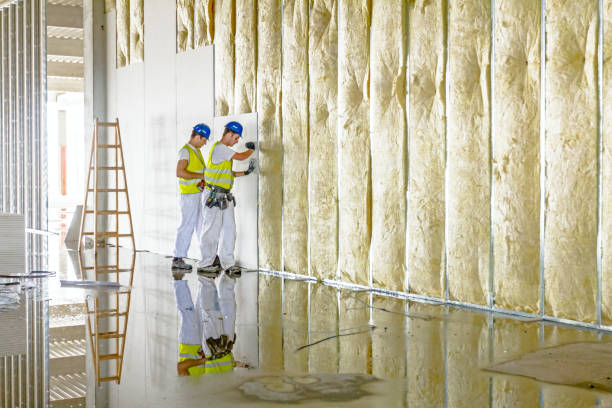 Best DIY Insulation Kits and Guidance in Oglethorpe, GA